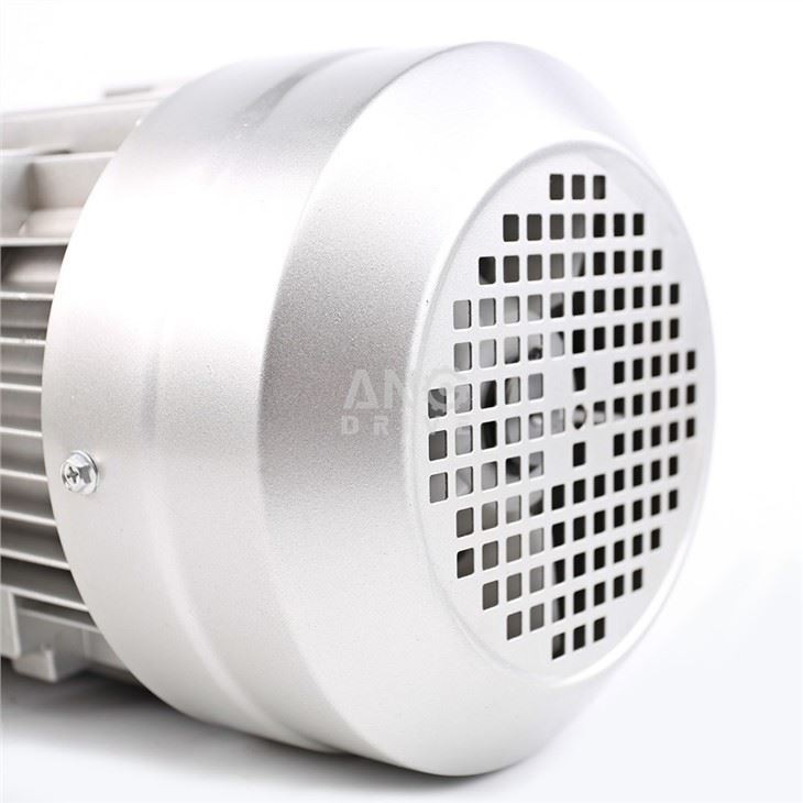 3 Phase Induction Motor