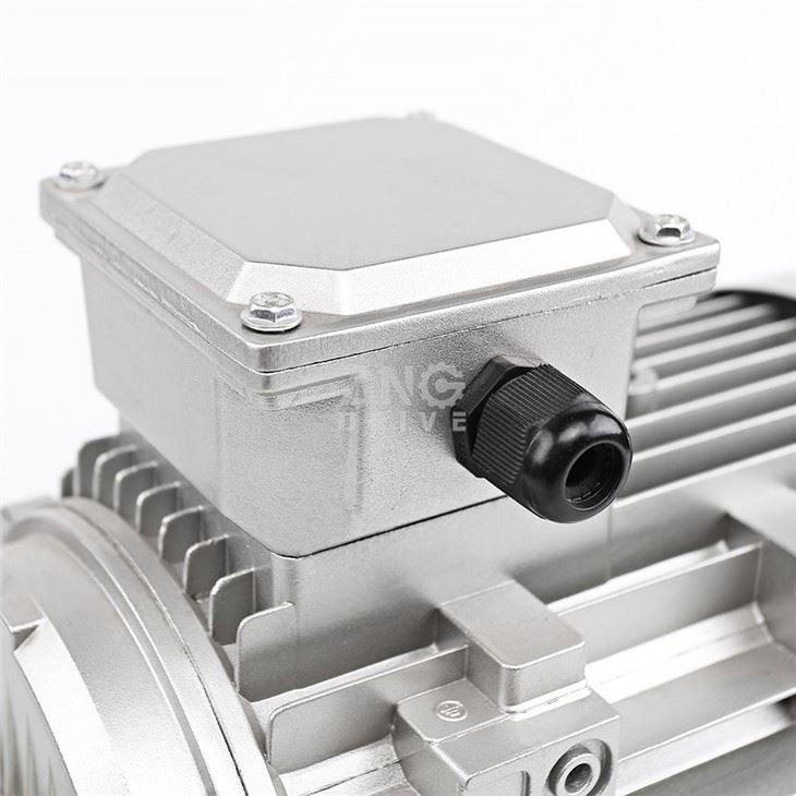 Three Phase Induction Motor