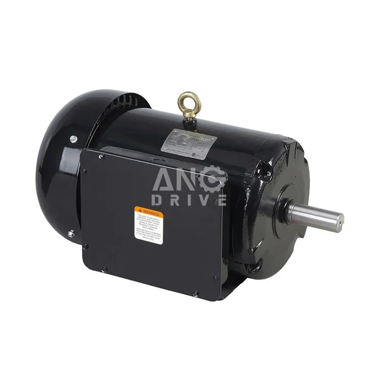 three phase nema motor